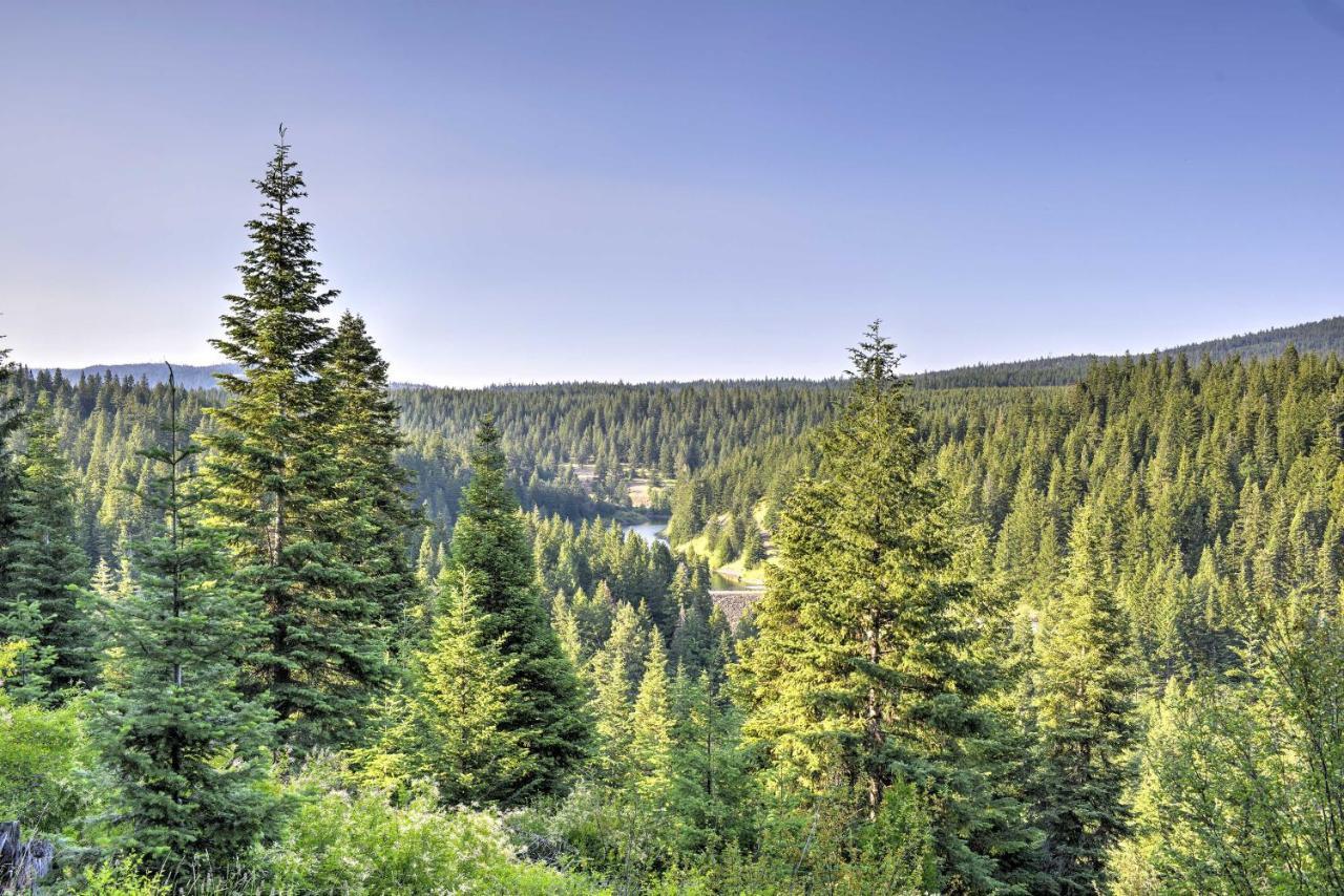 Ashland Cabin On 170 Acres With Mtn Views And Sauna! Exteriör bild